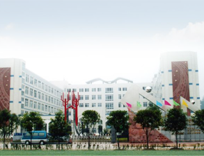 乐山外国语小学学校食堂大香蕉啪啪设备工程项目