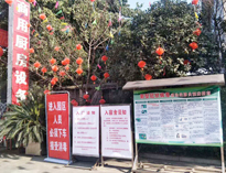 疫情无情人有情，我为抗疫做贡献！